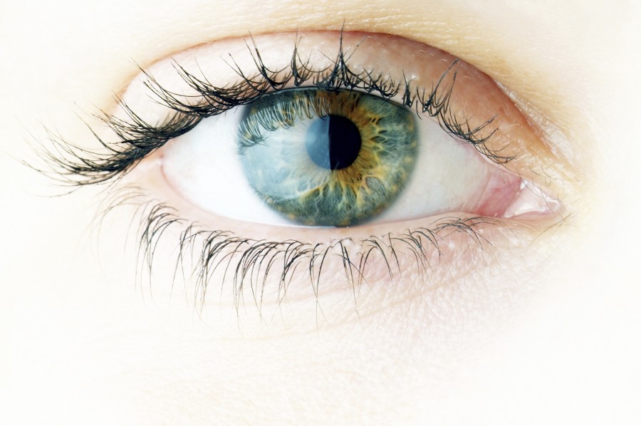 iStock_000011448939Medium-900x598