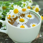 Herbal tea of chamomile flowers