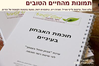 כתבות ברשת ובעיתונות - בלוג שונית וויס