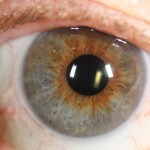 עיניים-מעורבות-בצבעים