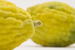 The etrog