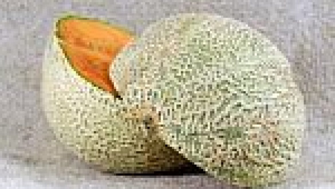 מלון – נותן המון.
